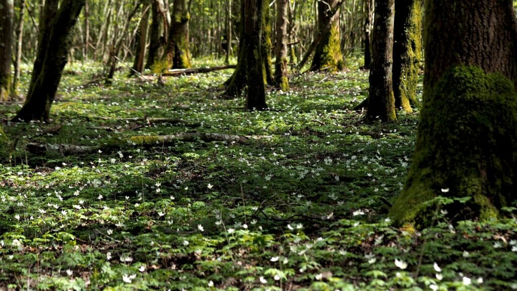 Analyse des données écologiques