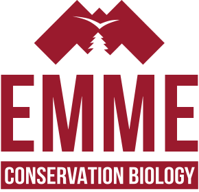 EMME